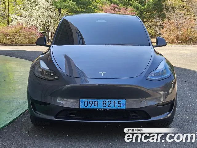 Tesla Model 2025