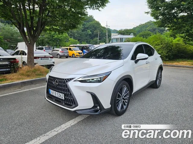 Lexus NX 350h 2024