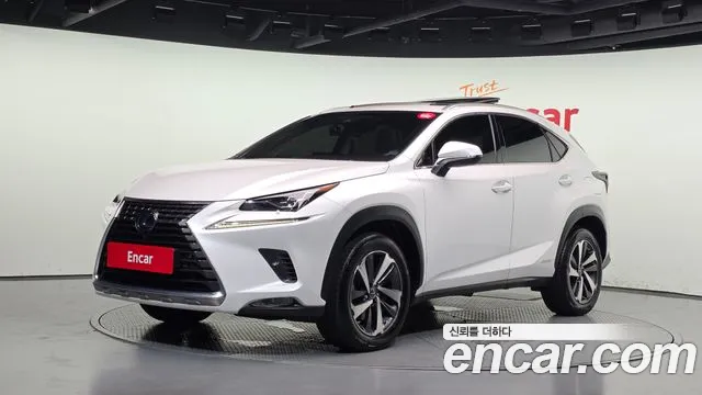 Lexus NX 2019