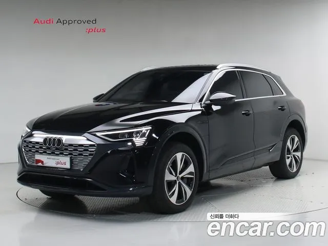 Audi Q8 e-tron 2024
